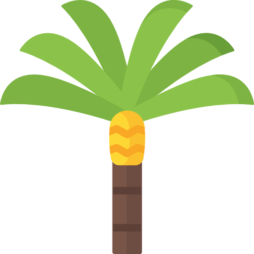 Palm tree